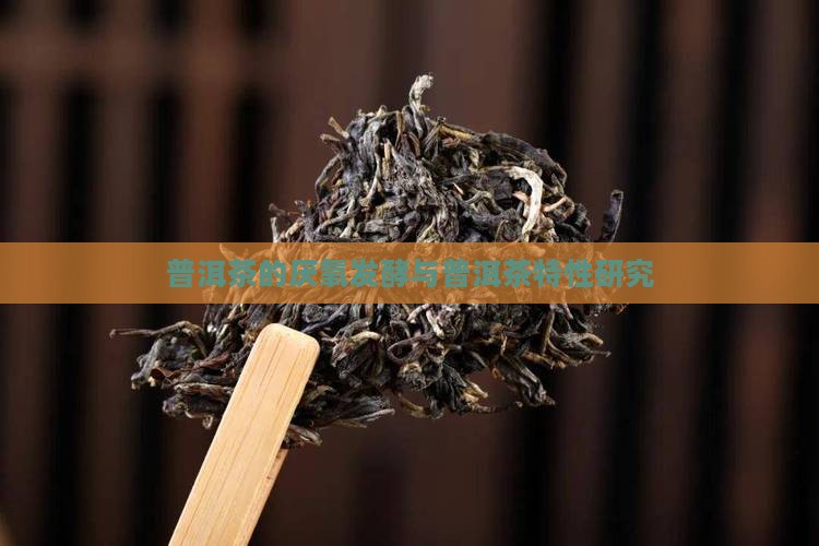 普洱茶的厌氧发酵