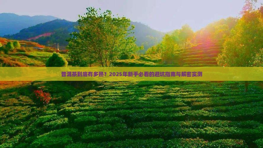 普洱茶到底有多熟