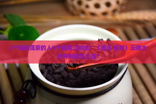 云南普洱茶大叶种