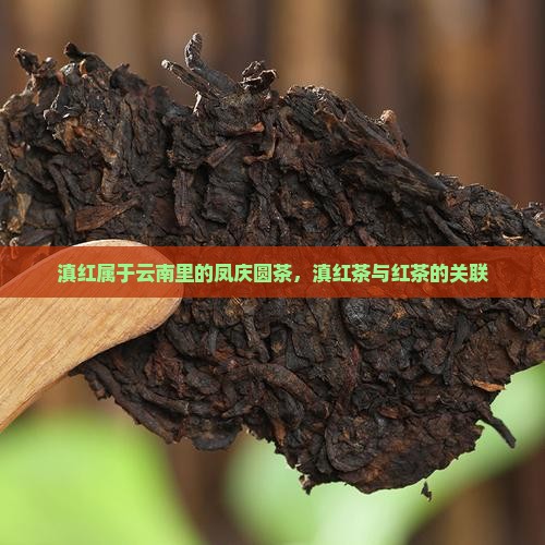 滇红属于哪里的茶凤庆圆茶