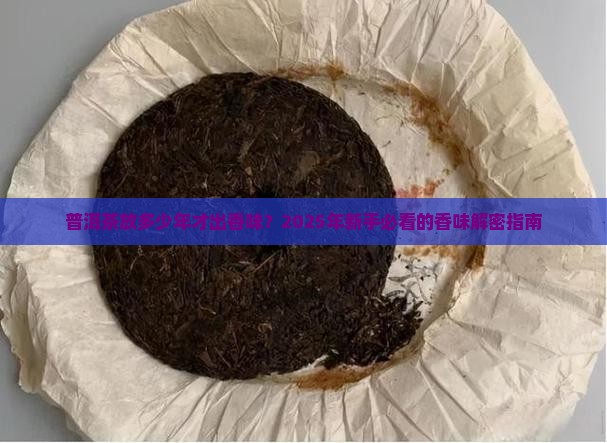 普洱茶多少年才有香味儿