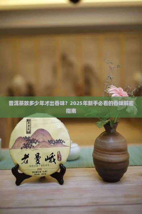 普洱茶多少年才有香味儿