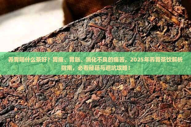 养胃喝什么茶好