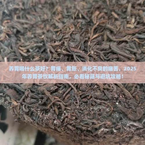 养胃喝什么茶好