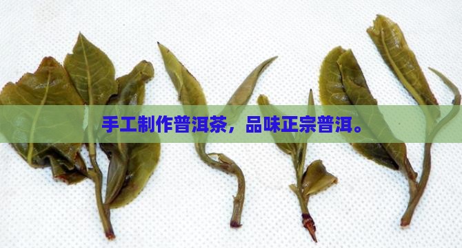 纯手工老普洱茶