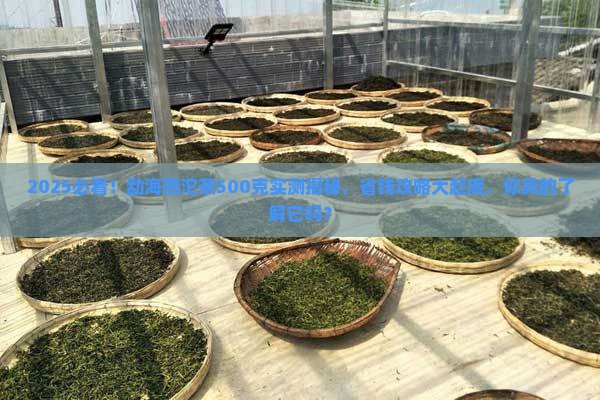 勐海熟沱茶普洱茶500克