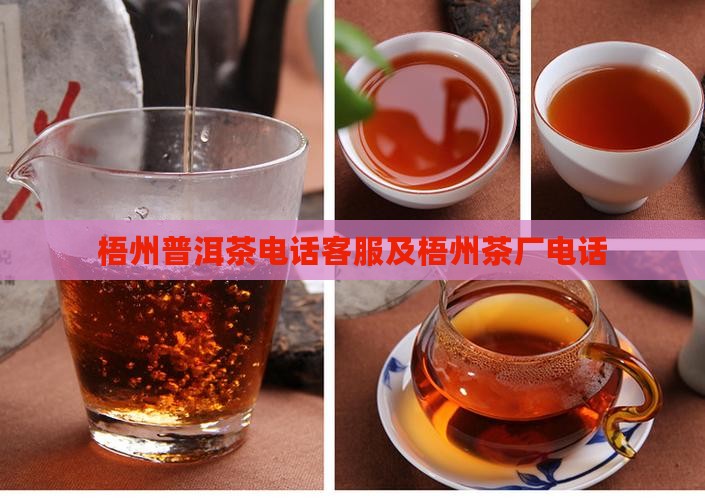 梧州普洱茶电话