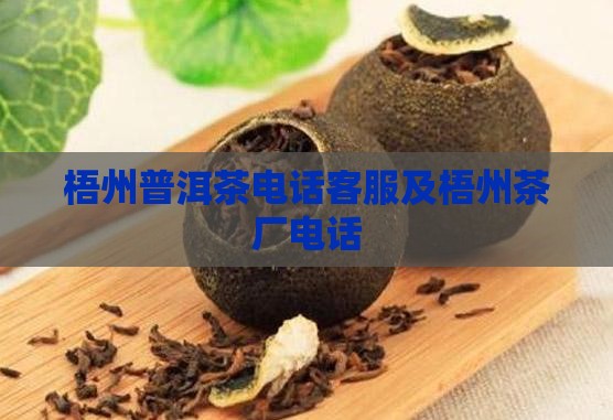 梧州普洱茶电话