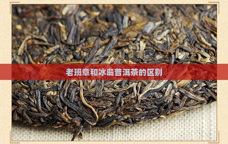 老班章和冰岛有什么区别