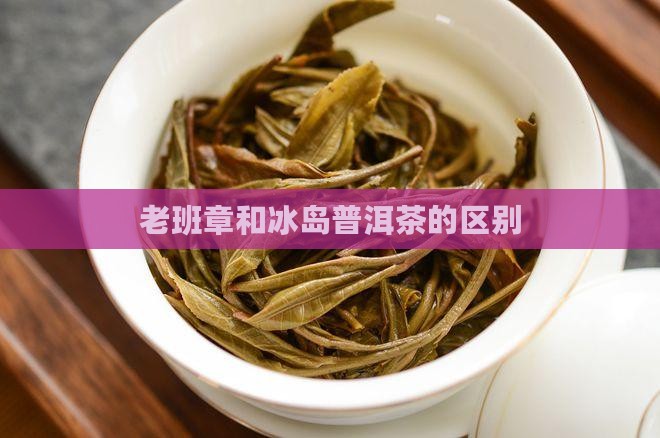 老班章和冰岛有什么区别