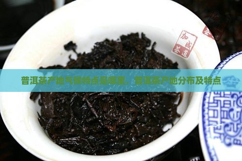 普洱茶产地气候特点是哪里