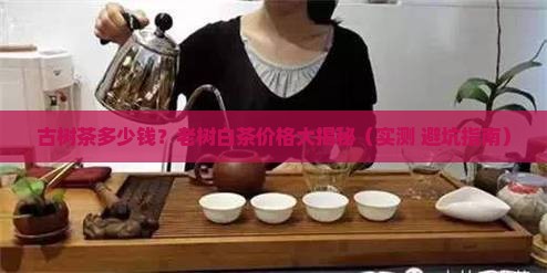 古树茶的价格是多少老树白茶价格