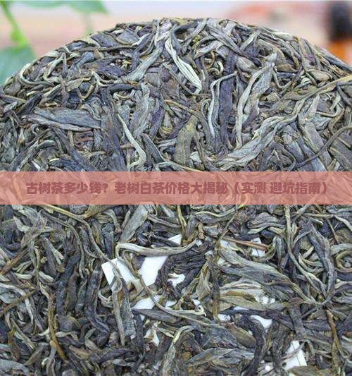 古树茶的价格是多少老树白茶价格