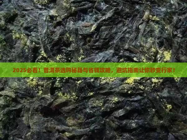 怎么选择好的普洱茶