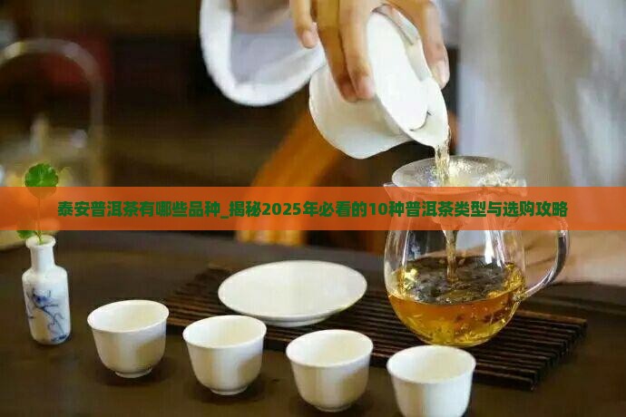泰安普洱茶有哪些品种