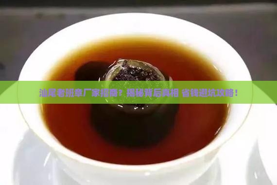 汕尾老班章厂家招商