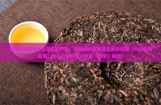 南岭普洱茶是什么茶区的产物
