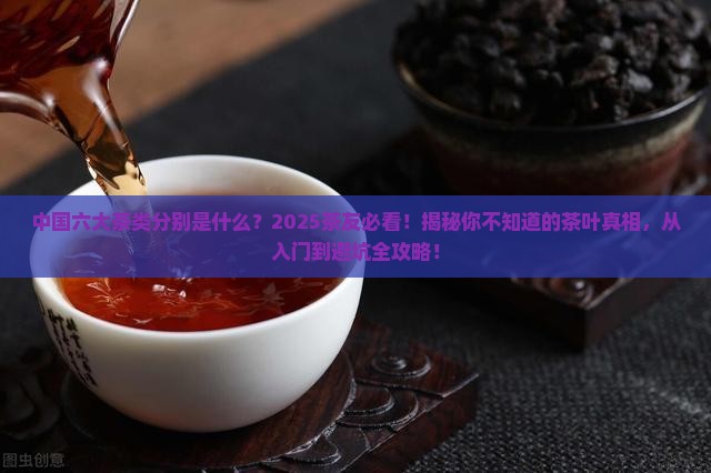 中国六大茶类分别是什么
