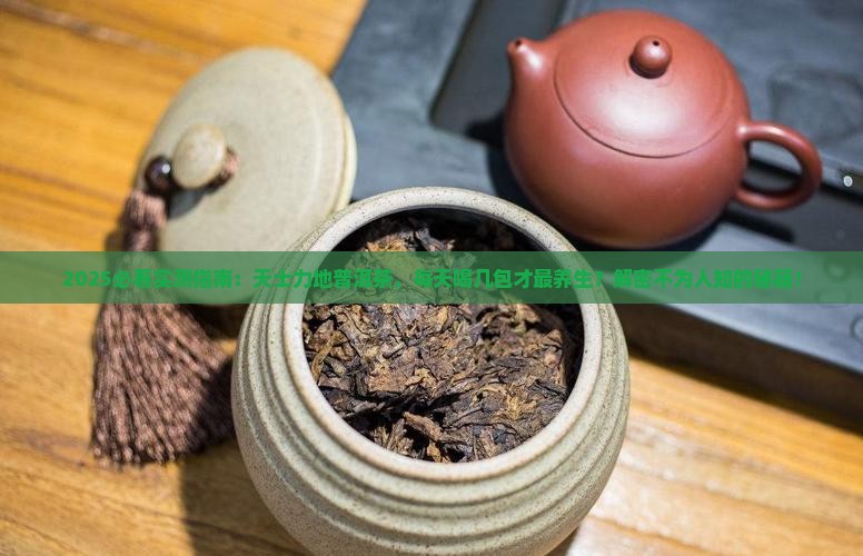 天士力地普洱茶每天喝几包