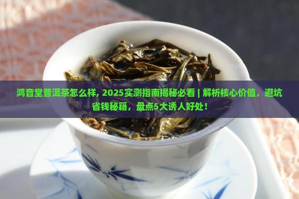 鸿音堂普洱茶怎么样
