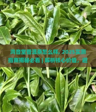 鸿音堂普洱茶怎么样