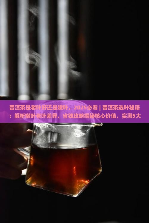 普洱茶是老叶好还是嫩叶