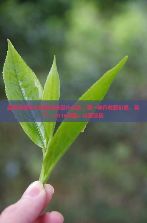 赵李桥青砖七泡茶价格