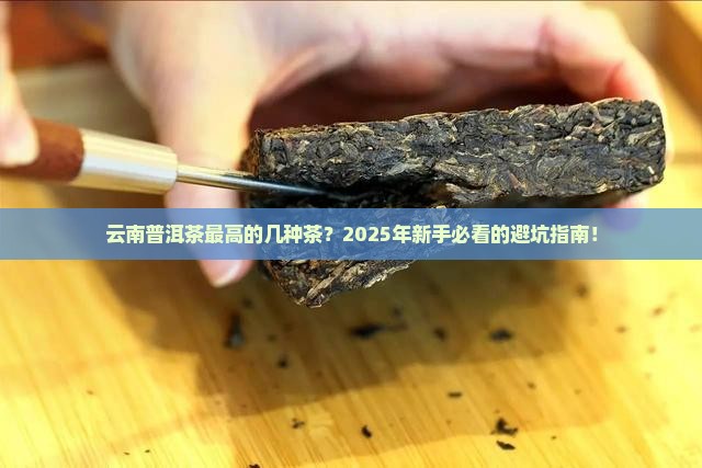 云南普洱茶最高的几种茶