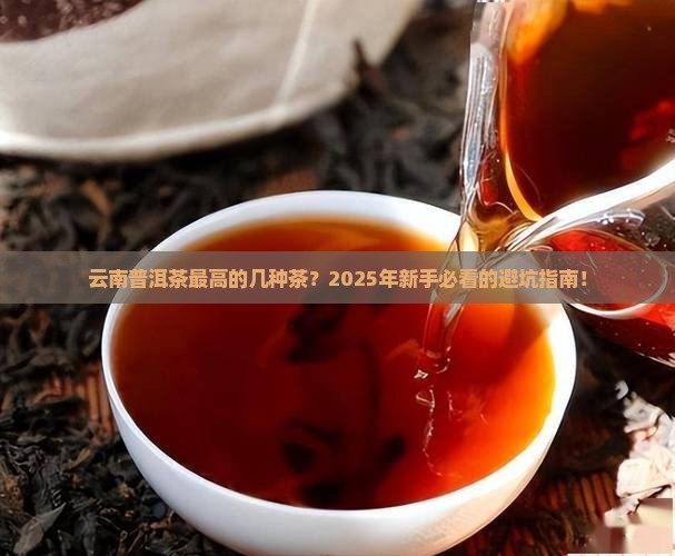 云南普洱茶最高的几种茶