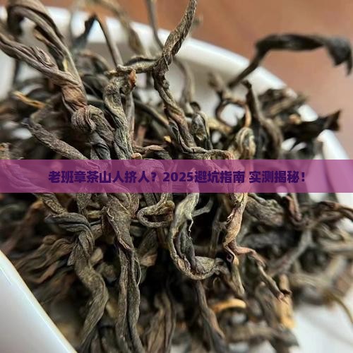 老班章茶山人多吗