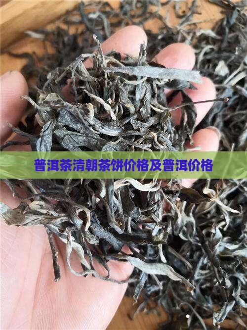 清朝茶饼多少钱