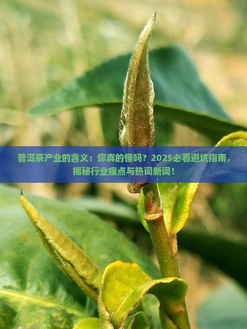 普洱茶产业的含义