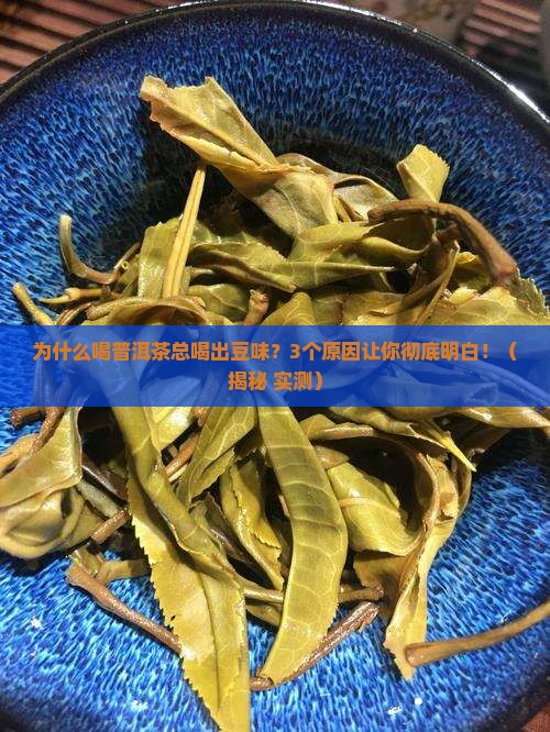 普洱茶为什么喝起来豆味