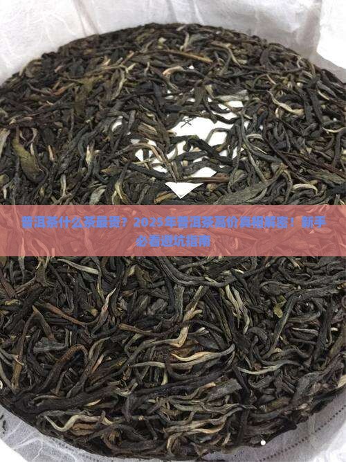 普洱茶什么茶最贵
