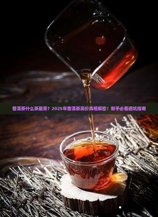 普洱茶什么茶最贵