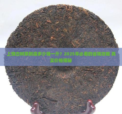 上饶古树茶多少钱一斤