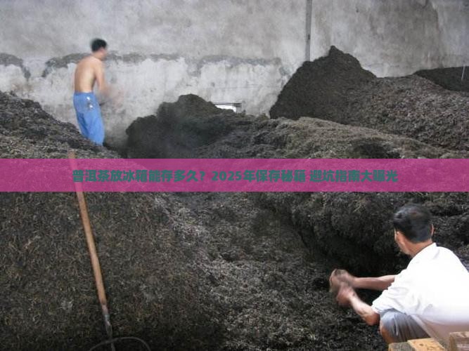 普洱茶放在冰箱保存多久