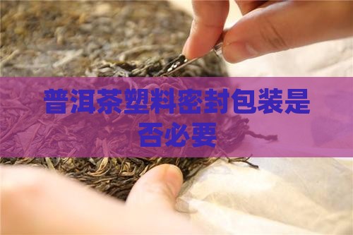 普洱茶用套袋吗