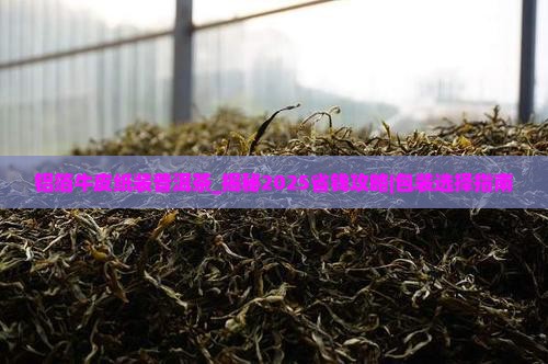 铝箔牛皮纸装普洱茶