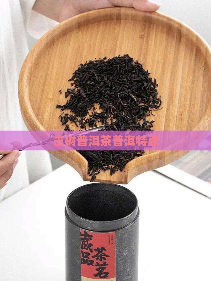 五棵桩古树普洱茶特点