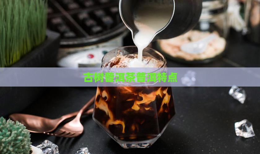 五棵桩古树普洱茶特点