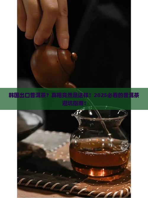 韩国出口普洱茶