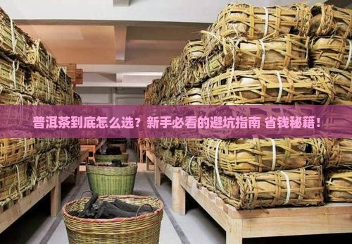 普洱茶知识专业