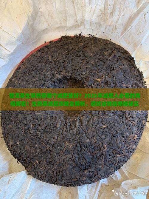 普洱茶生茶熟茶哪个减肥更好