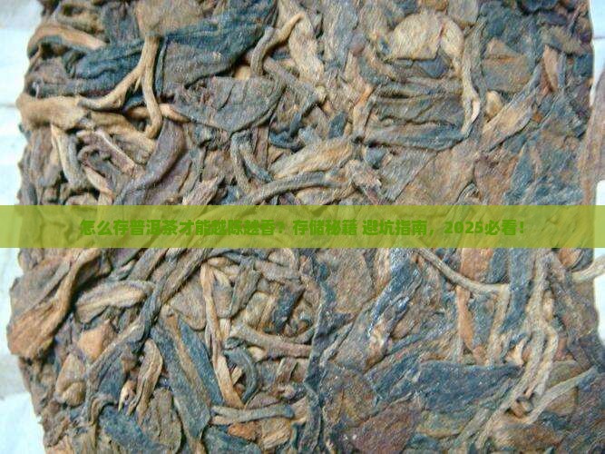 怎么理解普洱茶的存储
