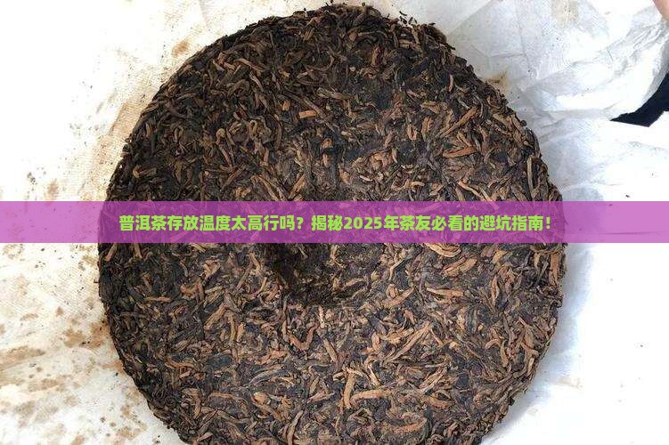普洱茶存放温度太高行吗