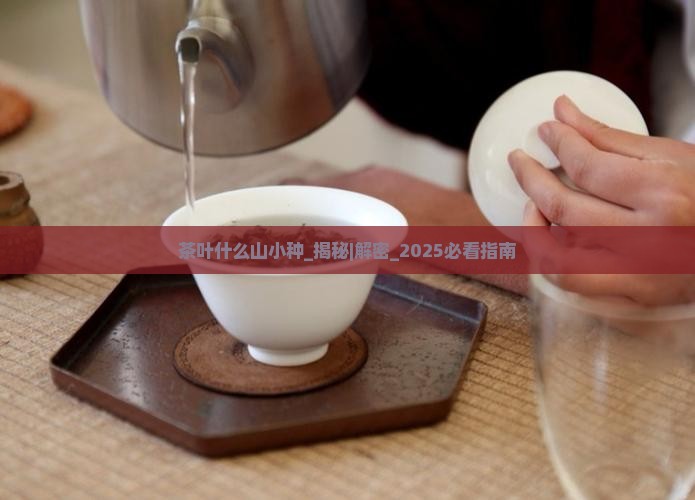 茶叶什么山小种