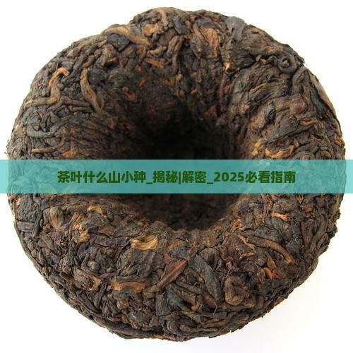 茶叶什么山小种