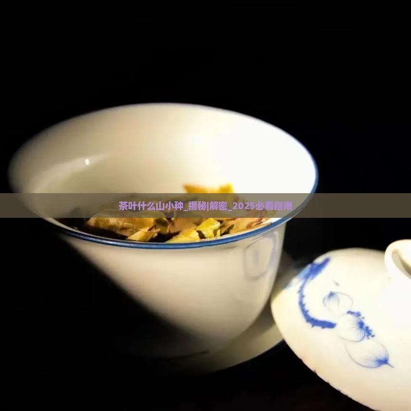 茶叶什么山小种