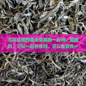 不同品牌的普洱茶能放一起吗